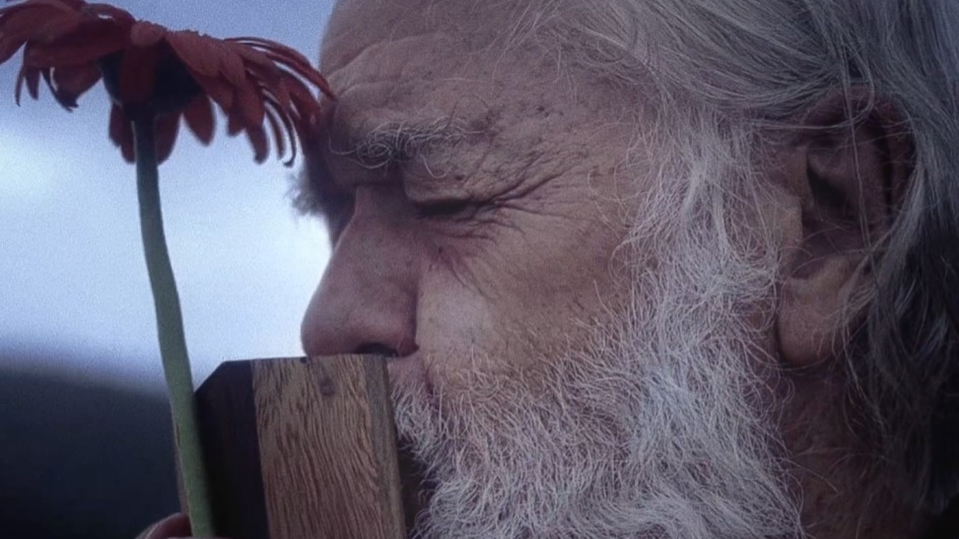 Montanhas Majestosas